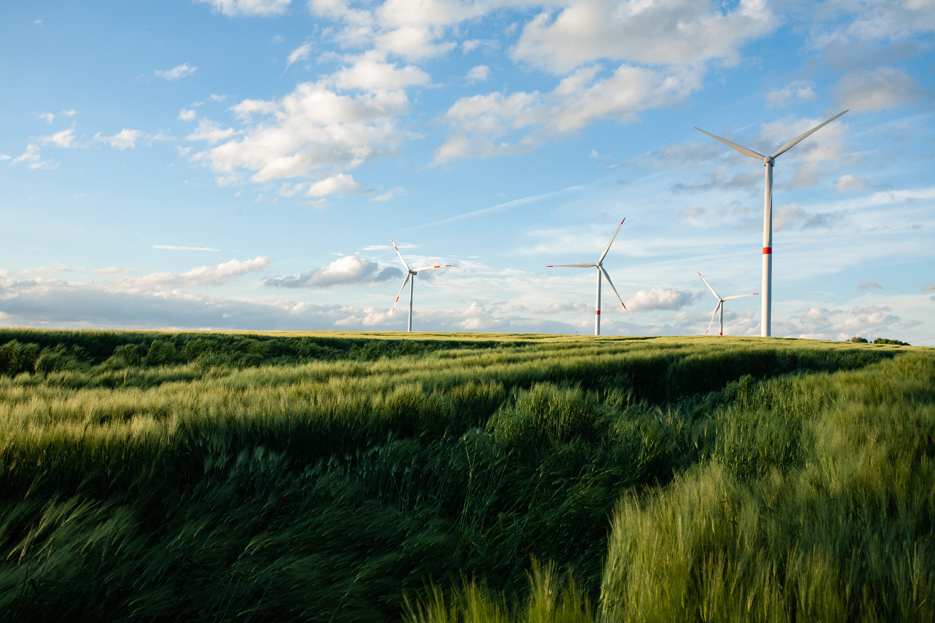 Windmill